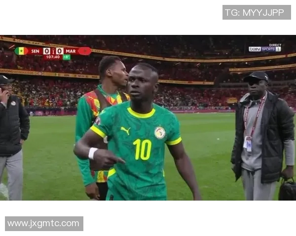 非洲章鱼头足球明星的传奇故事与辉煌成就探秘